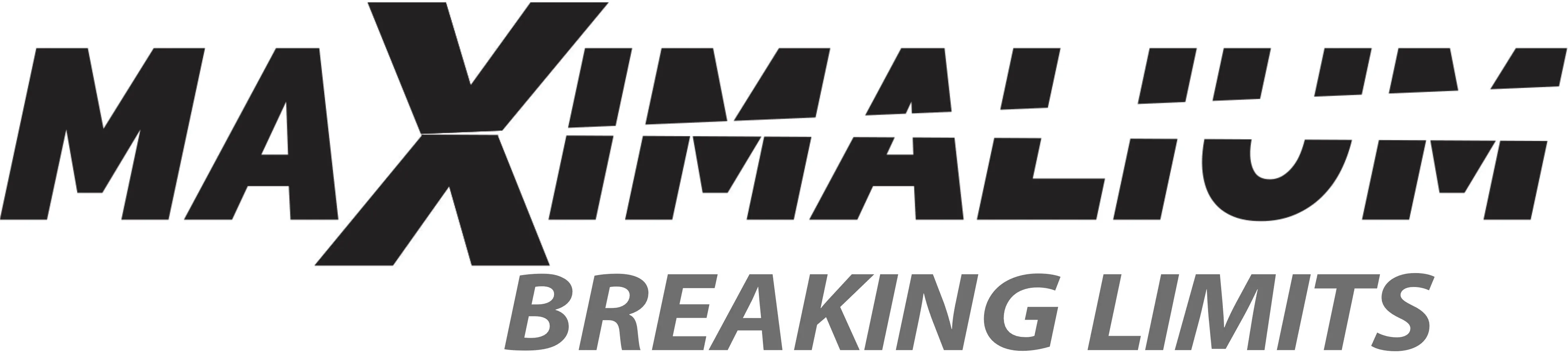 Max Fitness logo